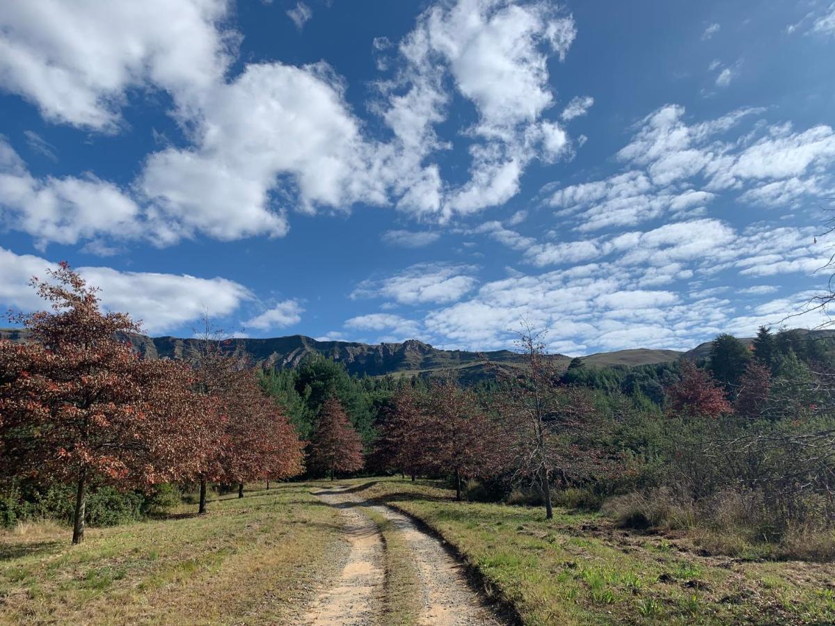 ElandskopBrackenburn Trout And Trail Retreatアパートメント エクステリア 写真